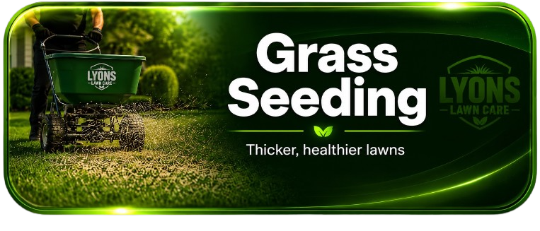Grass Seeding service banner